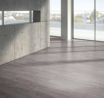 Parador Basic Plus 600 XS 1593842 Дуб Светло-серый фото 2 | FLOORDEALER